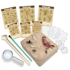 Creepy Crawly Dig Kit by Kidzlabs 4M 5+