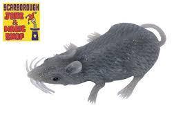 Funnyman Jokes Fake Rubber Mouse 3+