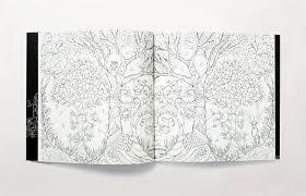 Enchanted Forest An Inky Quest & Colouring Book 6+