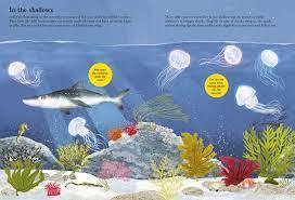 Sharks, Seahorses and other British Sea Creatures