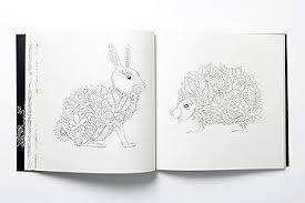 Enchanted Forest An Inky Quest & Colouring Book 6+