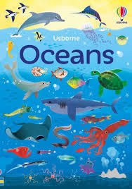 300 Piece Oceans Maze Usborne Book and Jigsaw Puzzle 6+