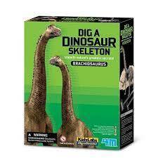 Dig A Brachiosaurus Skeleton by 4M Kidz Labs 8+