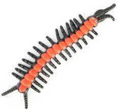 Sticky Insect Window Falling Fun 3+