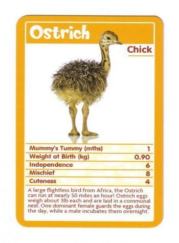 Top Trumps Baby Animals
