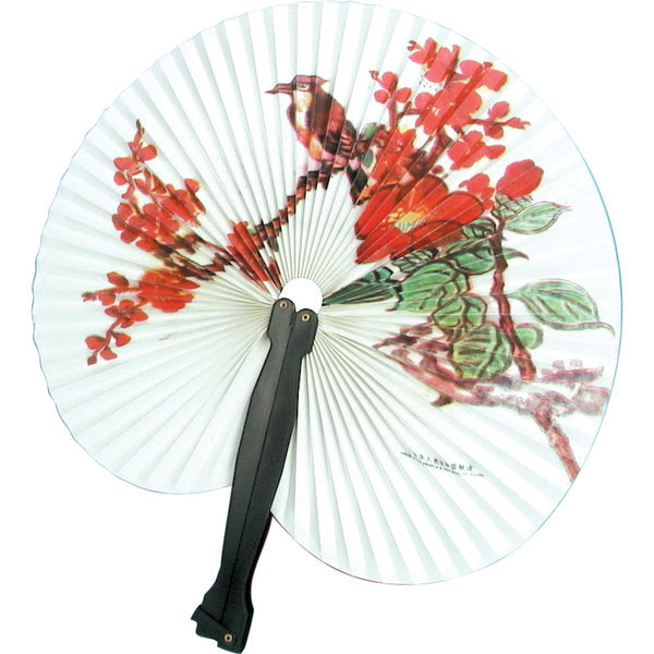 Paper Fan 5+
