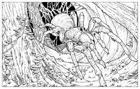 Harry Potter Magical Creatures Colouring Book