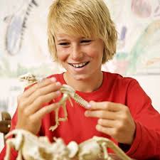 Dig A Dinosaur kit - Triceratops 4M 8+