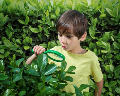 Brainstorm Toys Outdoor Adventure Magnifier