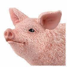 Pig Schlech Farm World Figure 13933