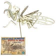 Build A Bug Wooden Insect Construction Kit
