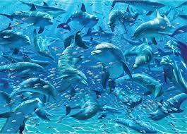 Dolphins Double-Trouble 500 Piece Puzzle