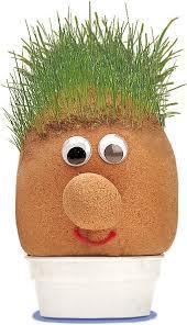 Grow Your Own Grasshead Craft Set 3+