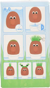 Grow Your Own Grasshead Craft Set 3+