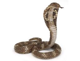 King Cobra By Papo 50164 3+