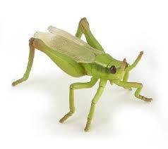 Grasshopper Figure By Papo 50268 3+