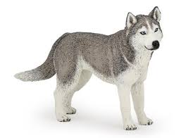 Siberian Husky By Papo 54035 3+