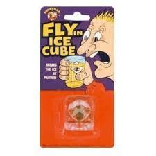 Jokes Fly in an Ice Cube Prank 3+