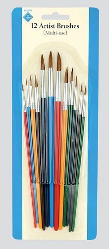 10 Assorted Artist Brushes