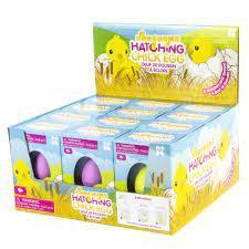 Small Chick Hatching Eggs NURCHUMS NV232 3+