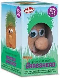 Grow Your Own Grasshead Craft Set 3+