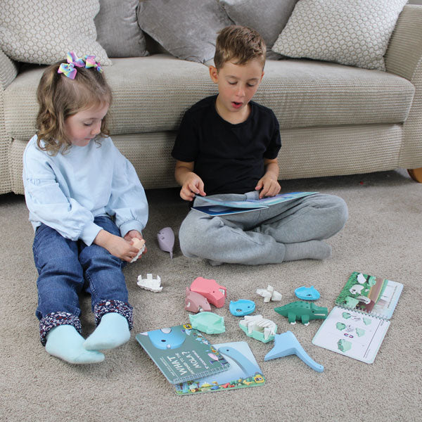Hippo - Halftoys Picture Book toy by Brainstorm 3+