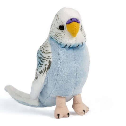Blue Budgerigar with sound from Living Nature From Birth+