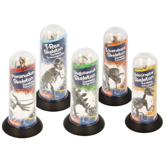 Magnoidz 3D Dinosaur Skeletons 6+