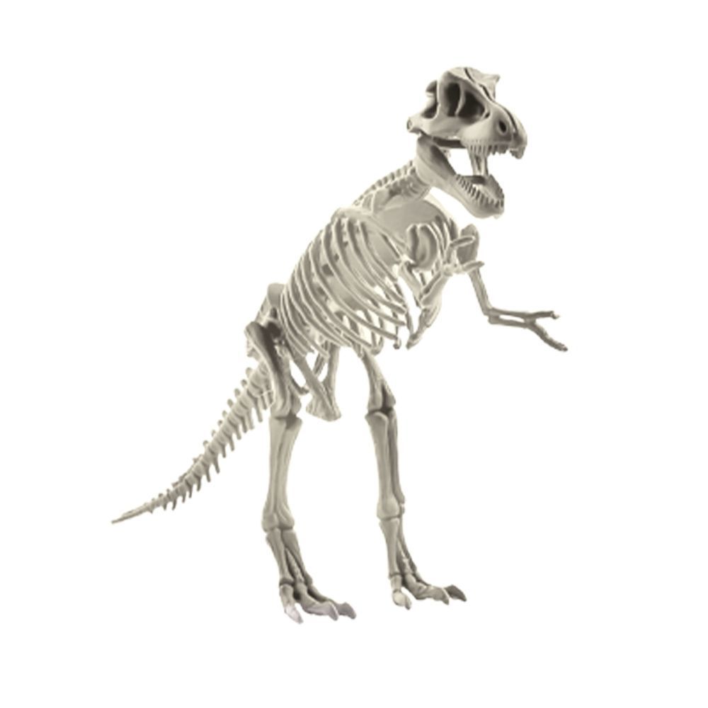Magnoidz 3D Dinosaur Skeletons 6+