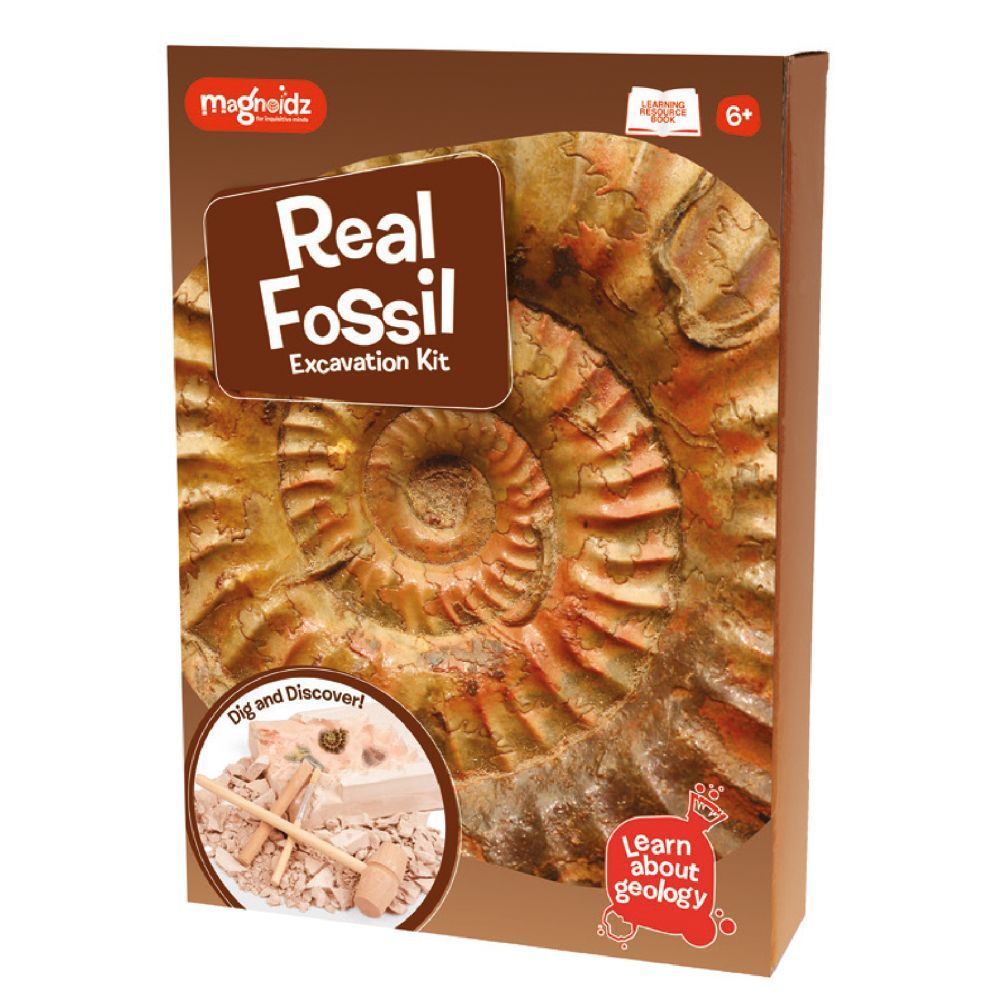 MAGNOIDZ Fossil Dig Excavation Kit For Children Aged 6+