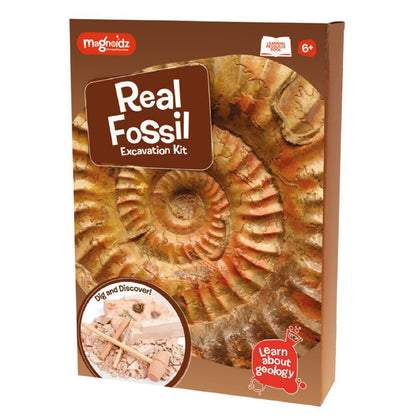 MAGNOIDZ Fossil Dig Excavation Kit For Children Aged 6+