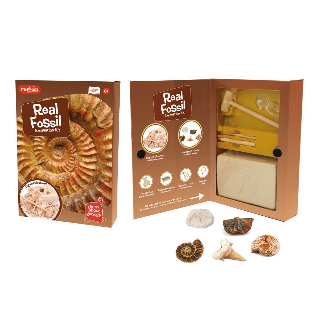 MAGNOIDZ Fossil Dig Excavation Kit For Children Aged 6+