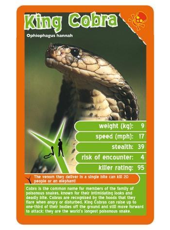 Top Trumps Deadliest Predators